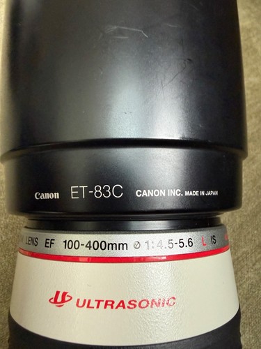 Canon 100 400mm 5 - l, f4.5-5.6